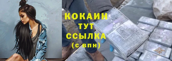 гидра Лагань