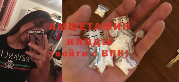 гидра Лагань