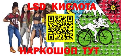 дмт Гусев