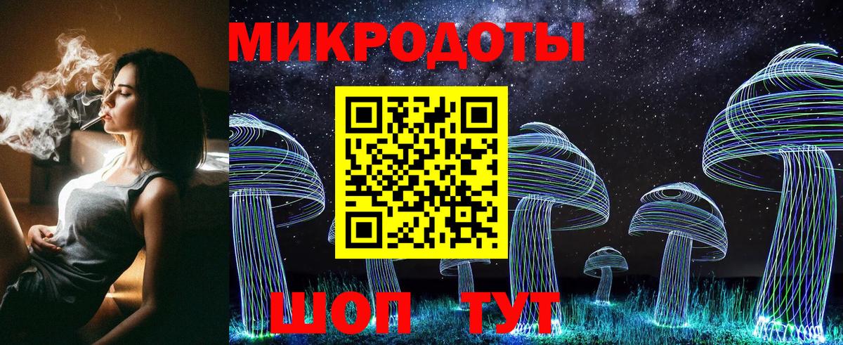 Псилоцибиновые грибы Psilocybe Ухта